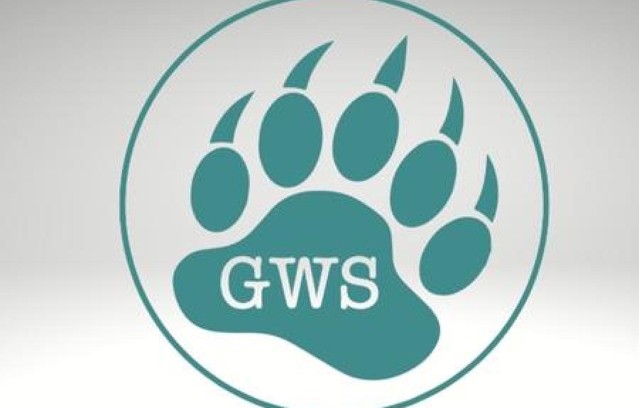 GWS Gray